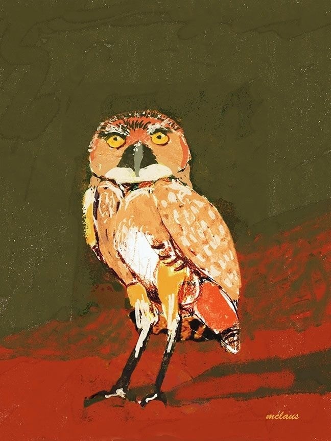 Burrowing Owl Retro — mixed media painting by Marjorie Claus